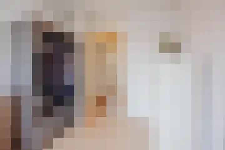 Vossendonk 22 Raamsdonksveer thumbnail 31