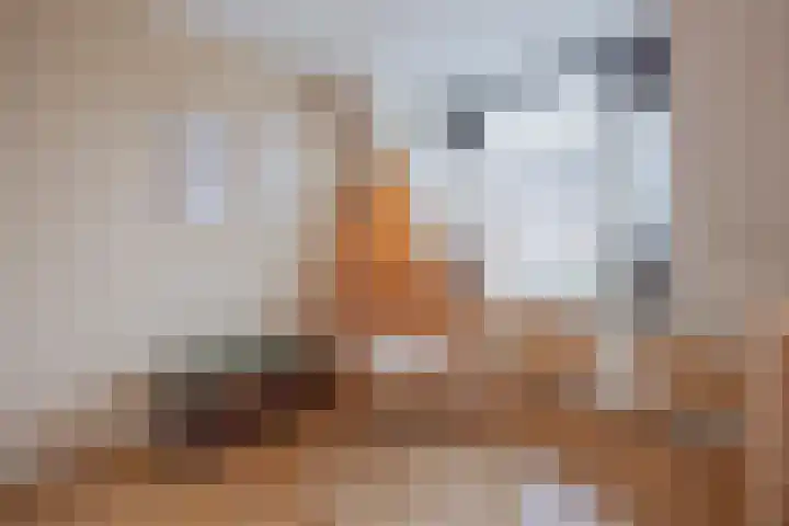 Vossendonk 22 Raamsdonksveer thumbnail 32
