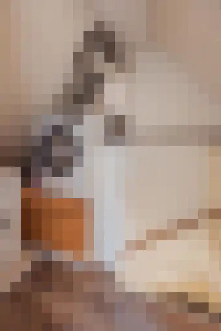 Vossendonk 22 Raamsdonksveer thumbnail 34