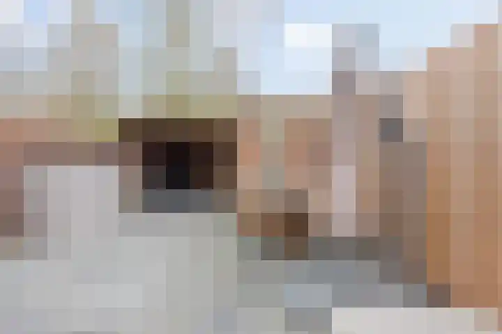 Vossendonk 22 Raamsdonksveer thumbnail 39