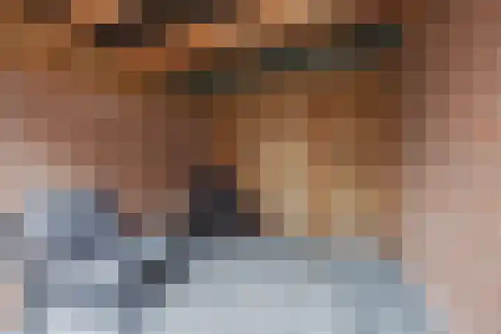 Vossendonk 22 Raamsdonksveer thumbnail 41