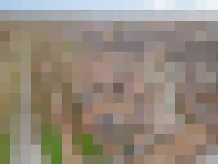 Vossendonk 22 Raamsdonksveer thumbnail 45