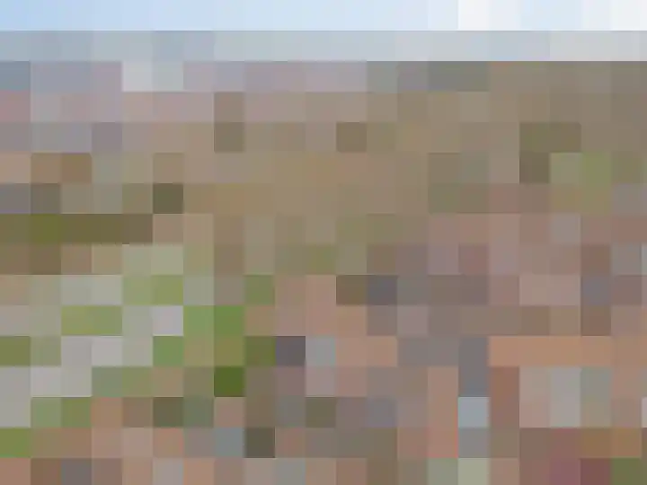 Vossendonk 22 Raamsdonksveer thumbnail 46
