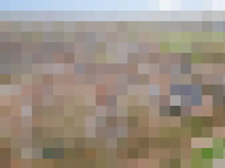 Vossendonk 22 Raamsdonksveer thumbnail 48