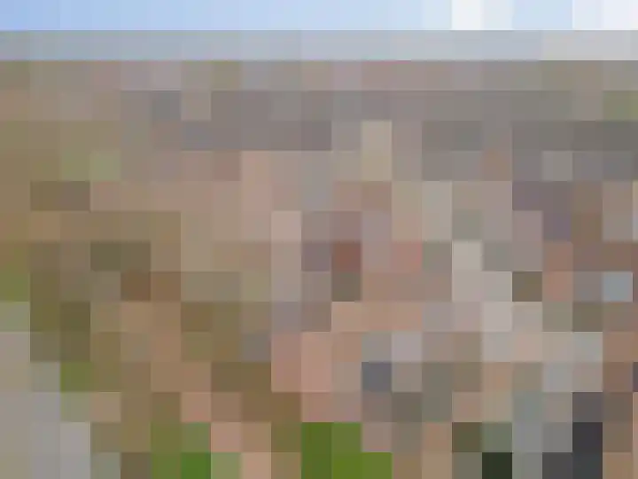Vossendonk 22 Raamsdonksveer thumbnail 49