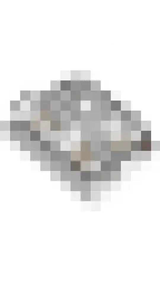 Vossendonk 22 Raamsdonksveer thumbnail 53