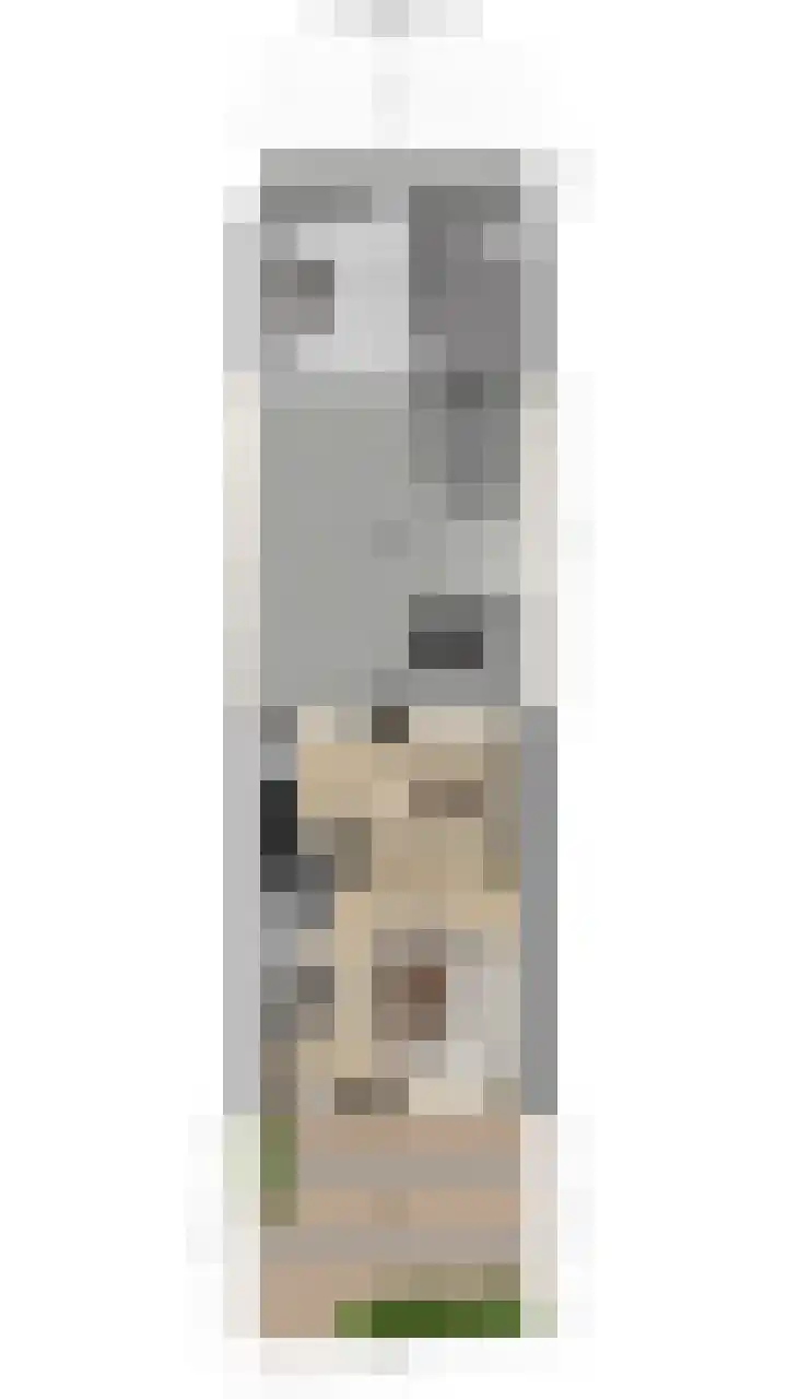 Vossendonk 22 Raamsdonksveer thumbnail 56