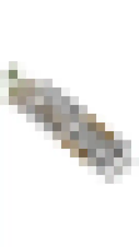Vossendonk 22 Raamsdonksveer thumbnail 57