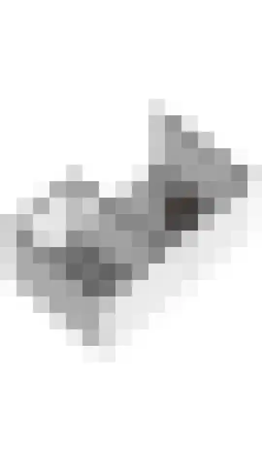 Vossendonk 22 Raamsdonksveer thumbnail 59