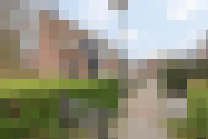 Vossendonk 22 Raamsdonksveer thumbnail 7