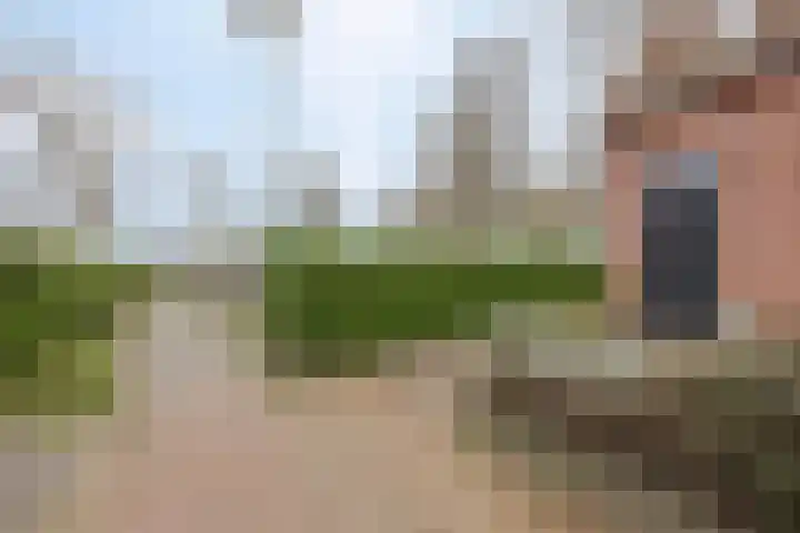 Vossendonk 22 Raamsdonksveer thumbnail 8