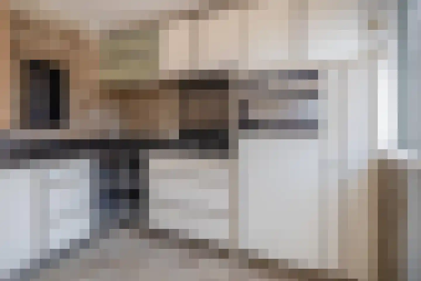 Vossendonk 30 Raamsdonksveer thumbnail 17