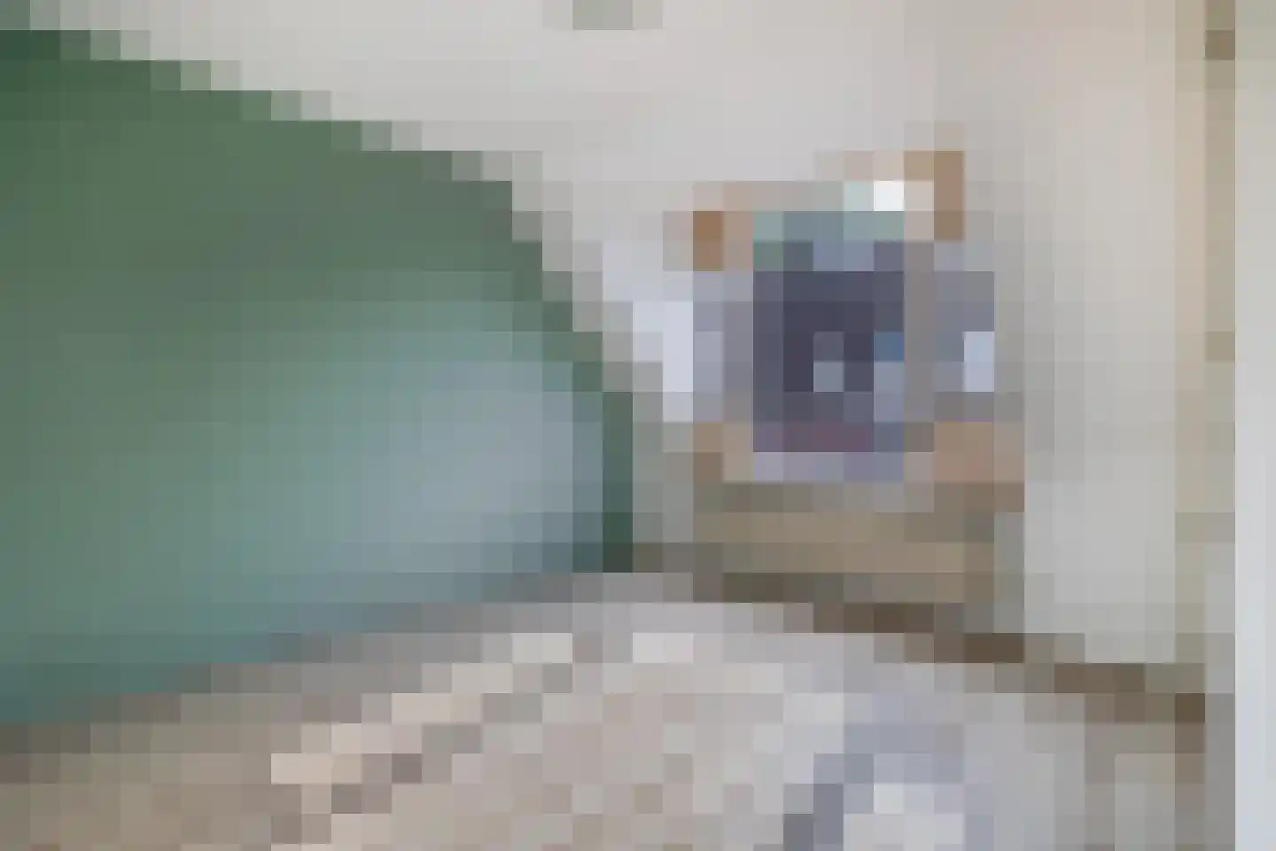 Vossendonk 30 Raamsdonksveer thumbnail 19