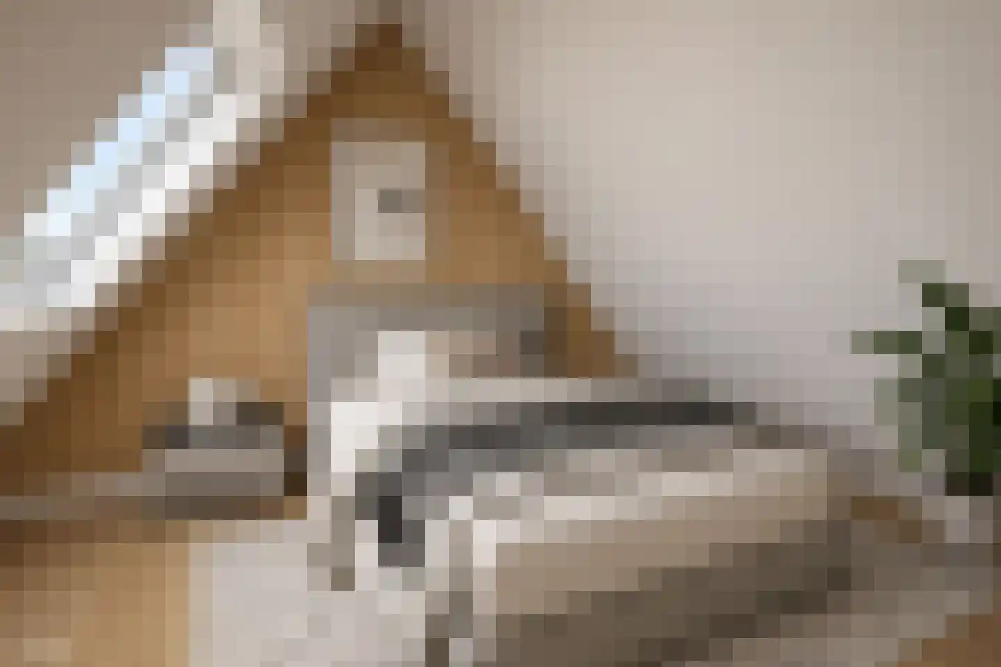 Vossendonk 30 Raamsdonksveer thumbnail 27