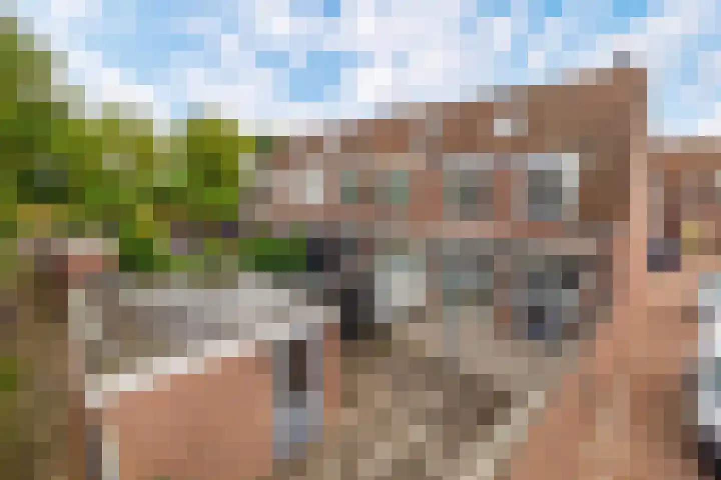 Vossendonk 30 Raamsdonksveer thumbnail 33