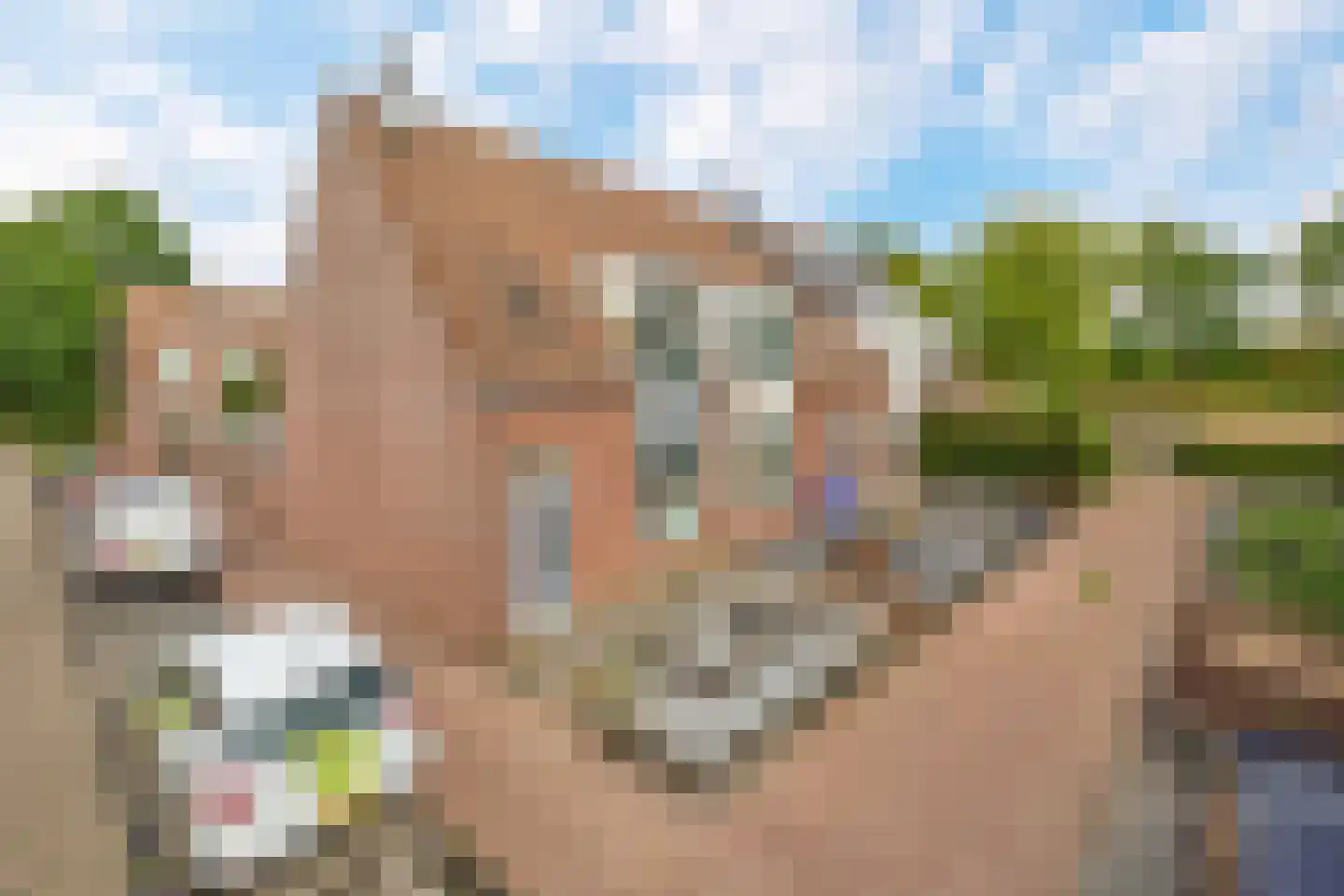 Vossendonk 30 Raamsdonksveer thumbnail 36