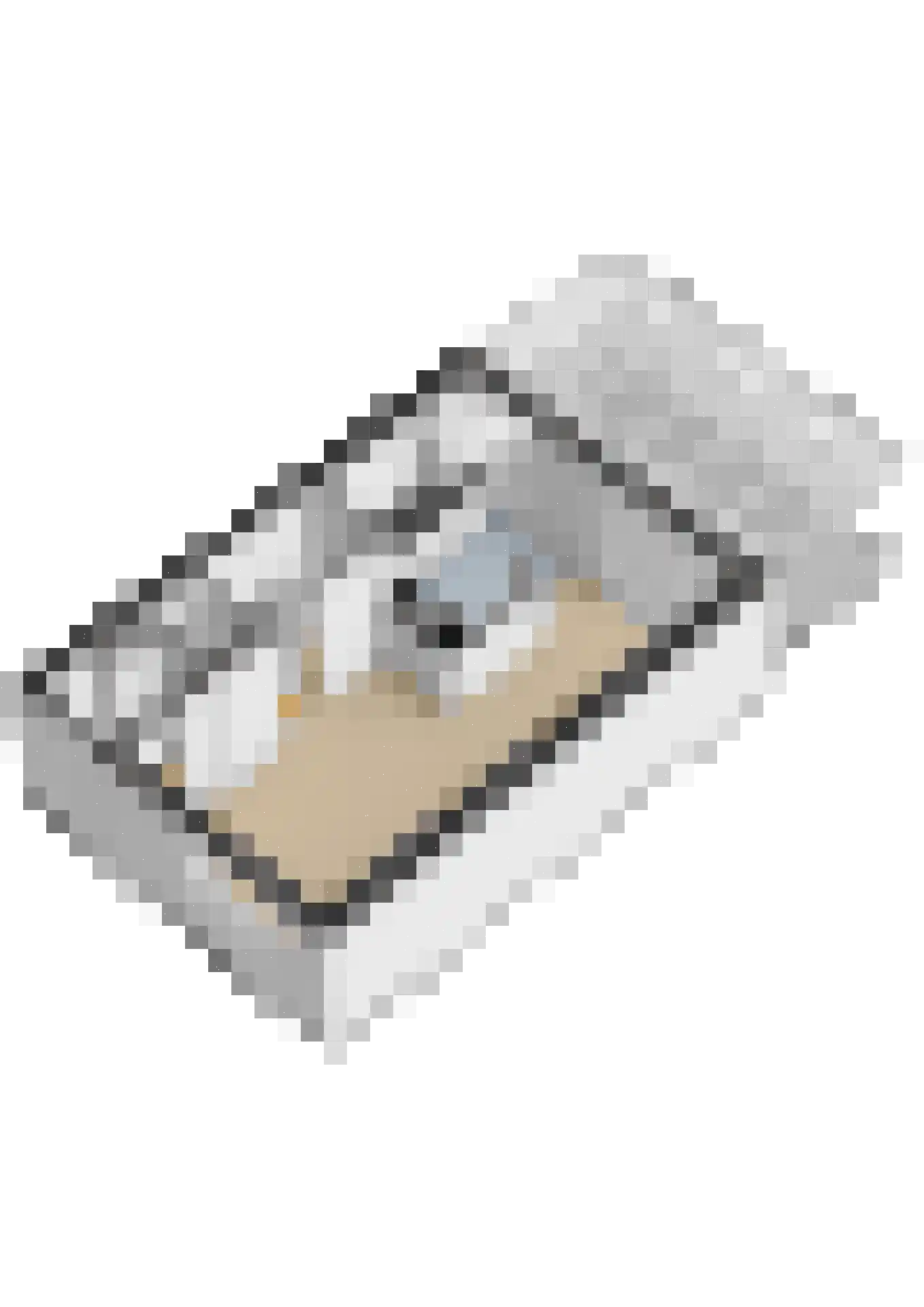 Vossendonk 30 Raamsdonksveer thumbnail 51