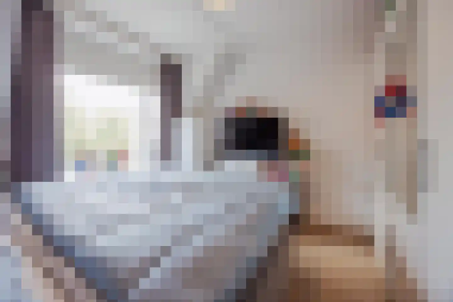 Vossendonk 35 Raamsdonksveer thumbnail 22