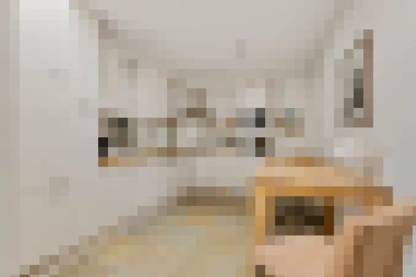 Vossendreef 21 Ulvenhout thumbnail 17