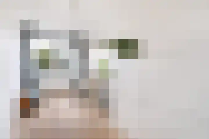 Vossendreef 48 Ulvenhout thumbnail 20
