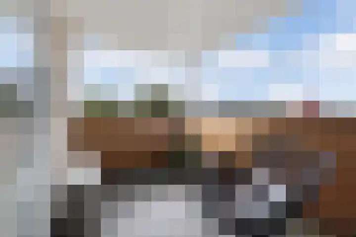 Vossendreef 48 Ulvenhout thumbnail 37