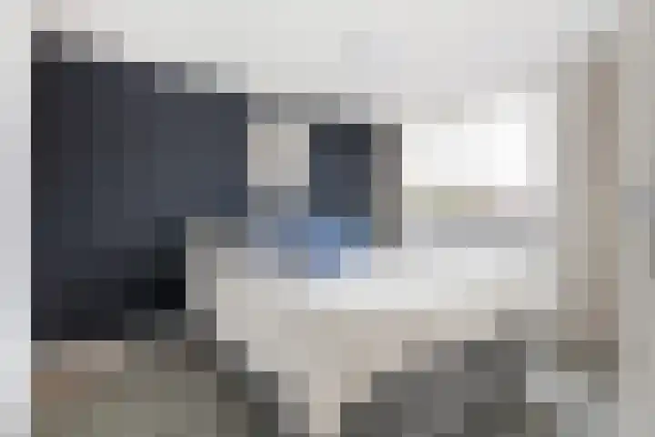 Vossendreef 48 Ulvenhout thumbnail 4
