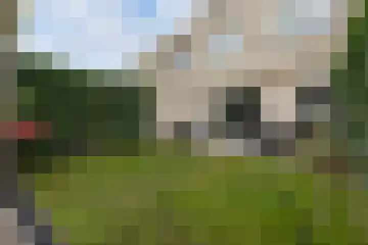 Vossendreef 48 Ulvenhout thumbnail 43