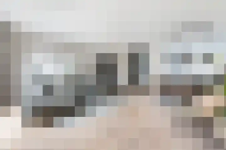 Vossendreef 48 Ulvenhout thumbnail 9