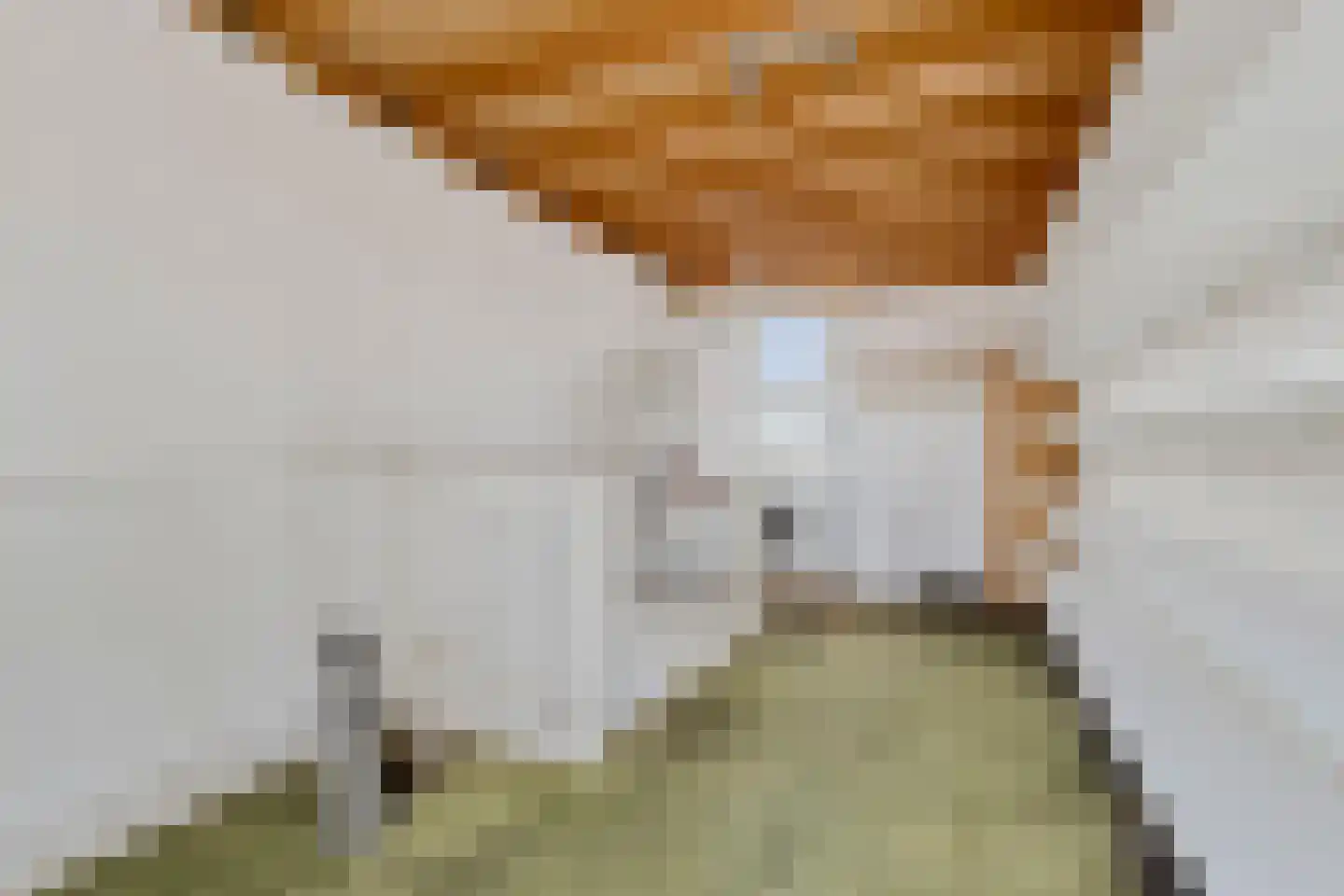 Vossendreef 64 Ulvenhout thumbnail 18