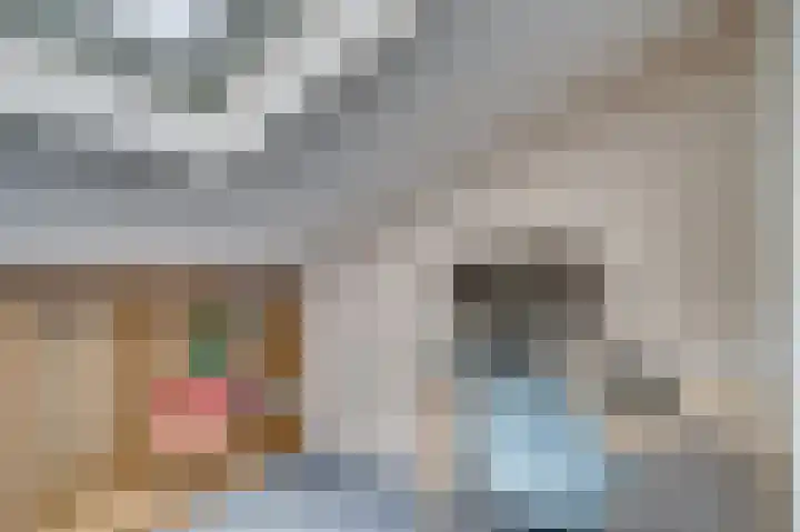 Vossenerlaan 113 Venlo thumbnail 19