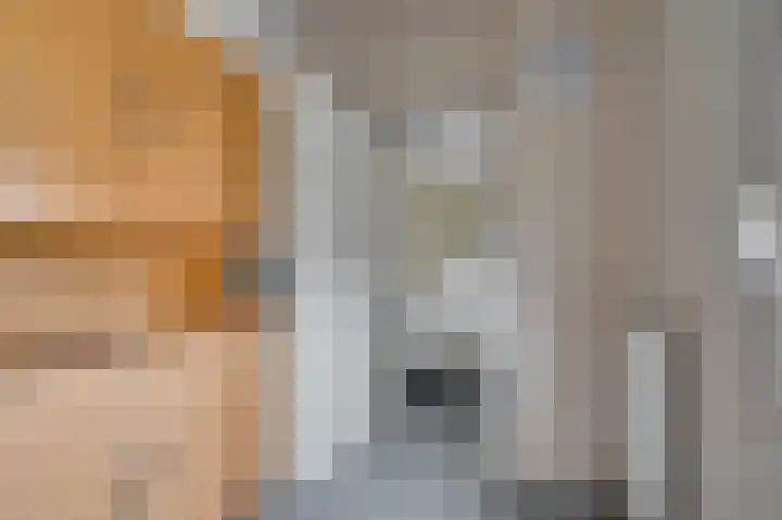 Vossenerlaan 113 Venlo thumbnail 20