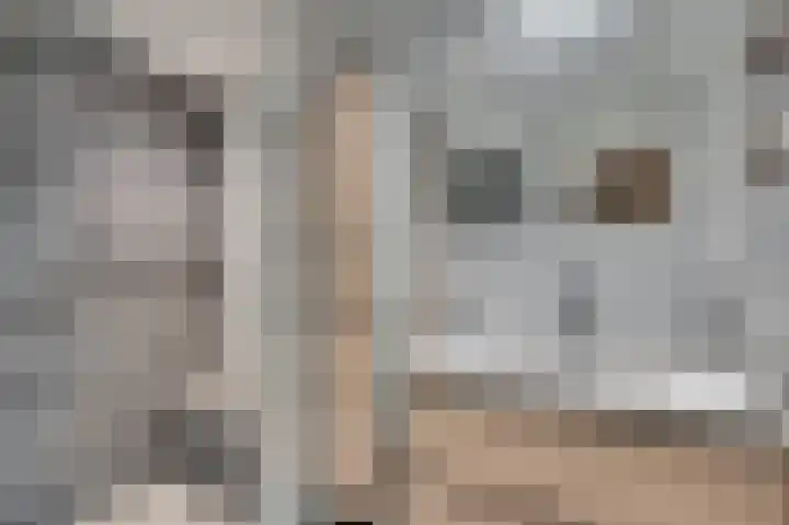 Vossenerlaan 113 Venlo thumbnail 22