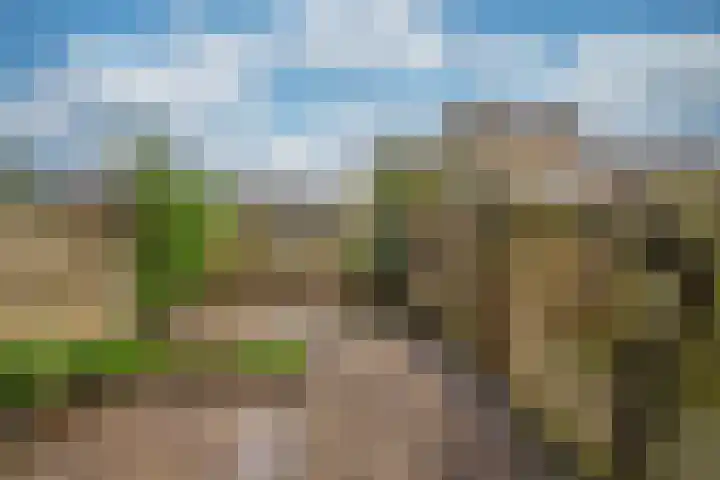 Vossenerlaan 129 Venlo thumbnail 30