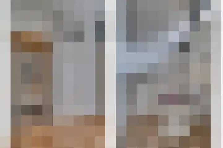 Vossenerlaan 129 Venlo thumbnail 4