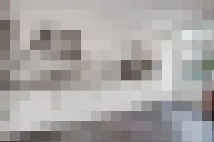 Vossenerlaan 26 Venlo thumbnail 7