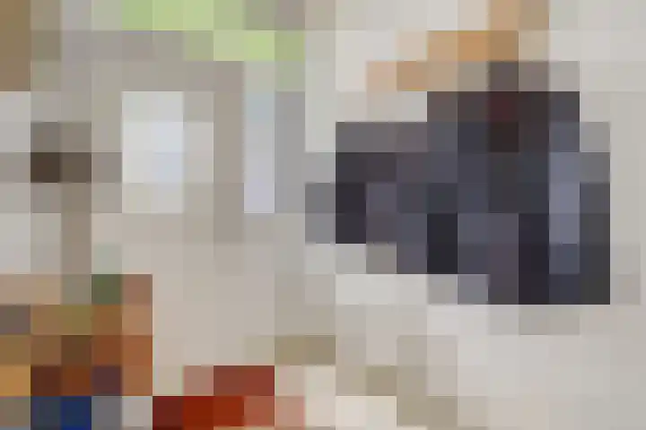 Vossenerlaan 26 Venlo thumbnail 8