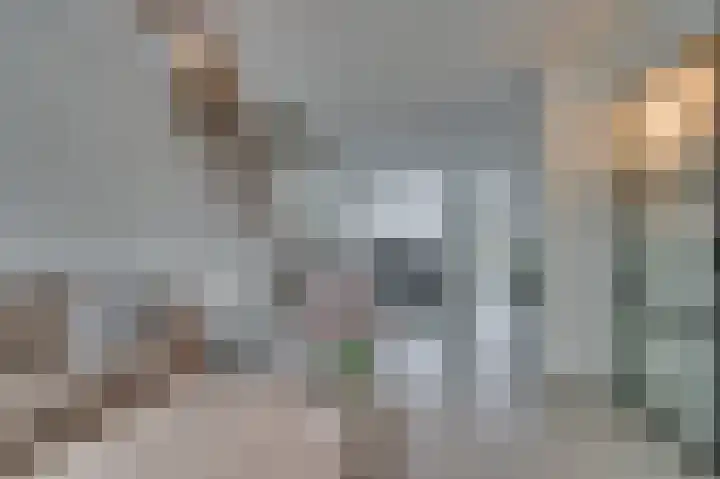 Vossenerlaan 36 Venlo thumbnail 12