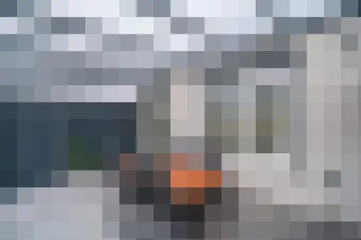Vossenerlaan 36 Venlo thumbnail 29