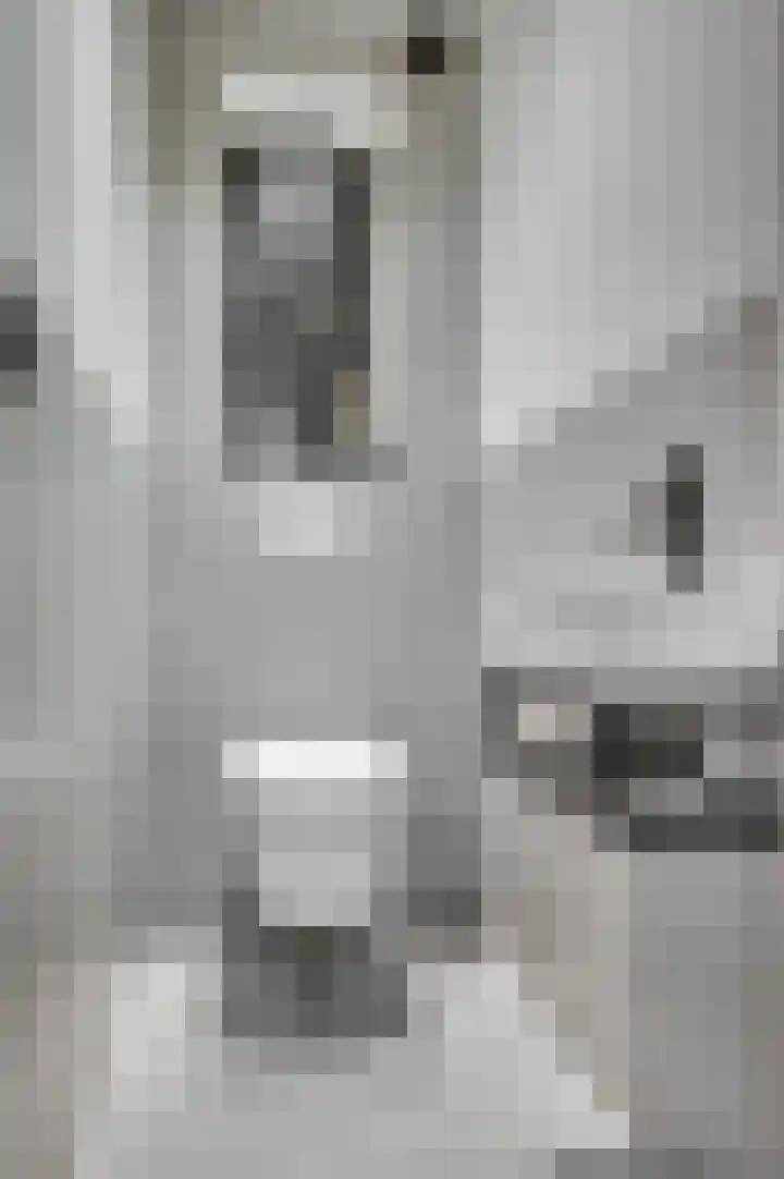 Vossenerlaan 36 Venlo thumbnail 4