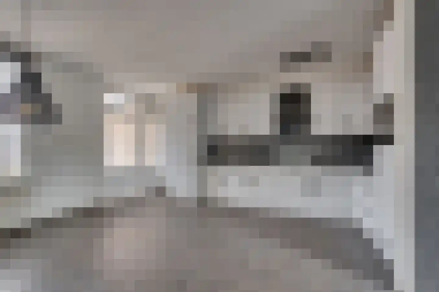 Vossenerlaan 52 Venlo thumbnail 17