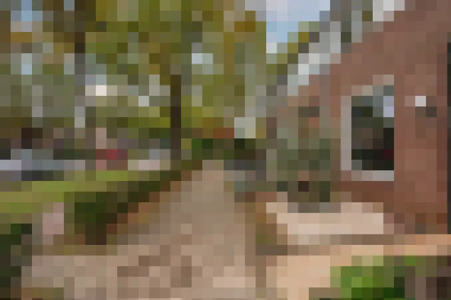 Vossenerlaan 52 Venlo thumbnail 44