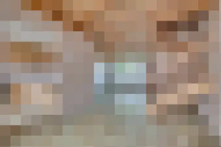 Vossenerlaan 60 Venlo thumbnail 10