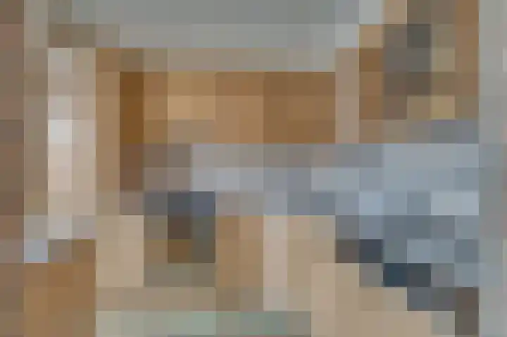 Vossenerlaan 60 Venlo thumbnail 12