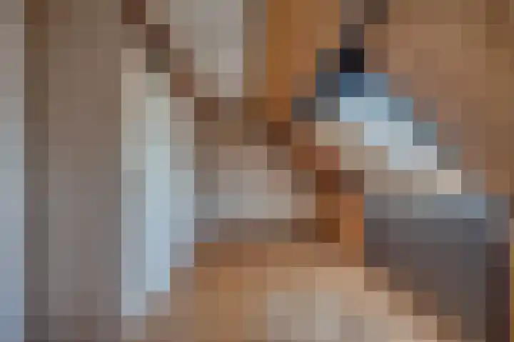 Vossenerlaan 60 Venlo thumbnail 18