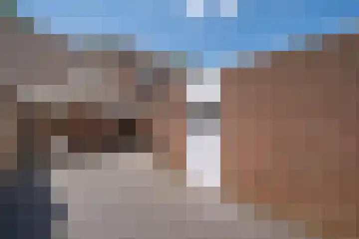 Vossenerlaan 60 Venlo thumbnail 26