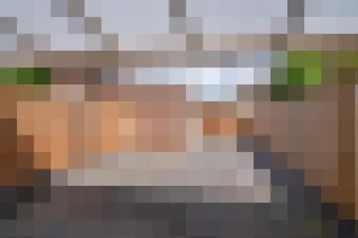 Vossenerlaan 60 Venlo thumbnail 27