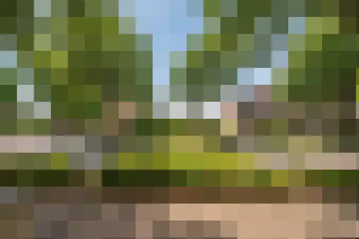 Vossenerlaan 60 Venlo thumbnail 30