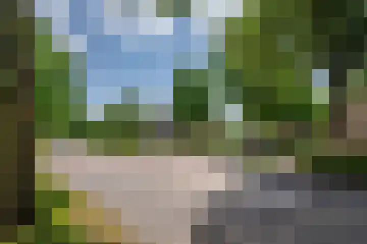Vossenerlaan 60 Venlo thumbnail 31
