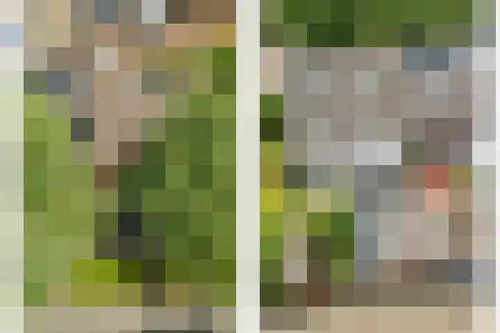 Vossenerlaan 60 Venlo thumbnail 33