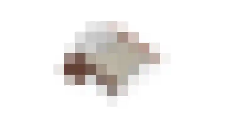 Vossenerlaan 60 Venlo thumbnail 42